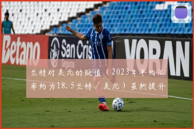 兰特对美元的贬值（2023年平均汇率约为18.5兰特／美元）虽然提升了出口竞争力