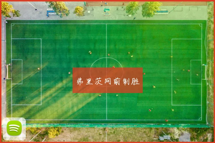 弗里茨网前制胜