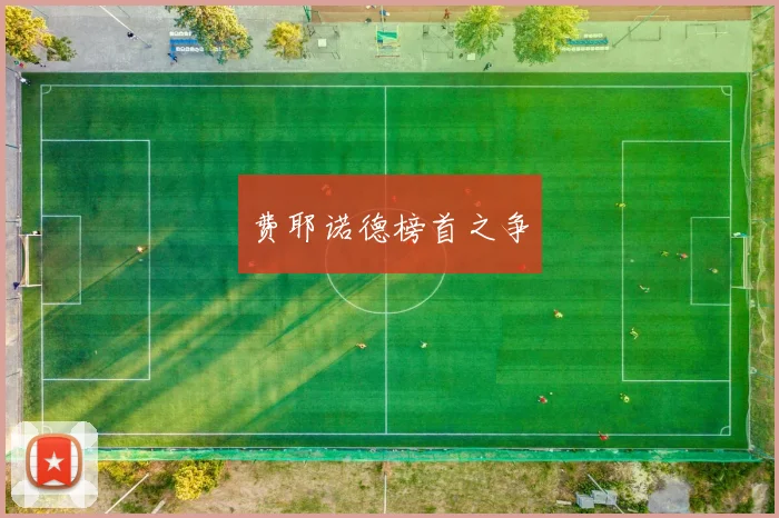 费耶诺德榜首之争