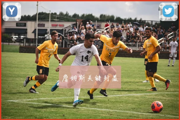 詹姆斯关键封盖