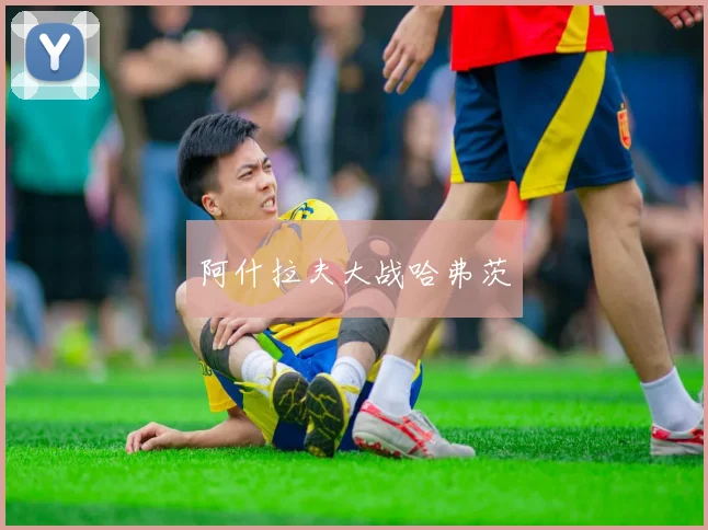 阿什拉夫大战哈弗茨