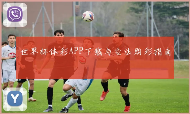 世界杯体彩APP下载与合法购彩指南