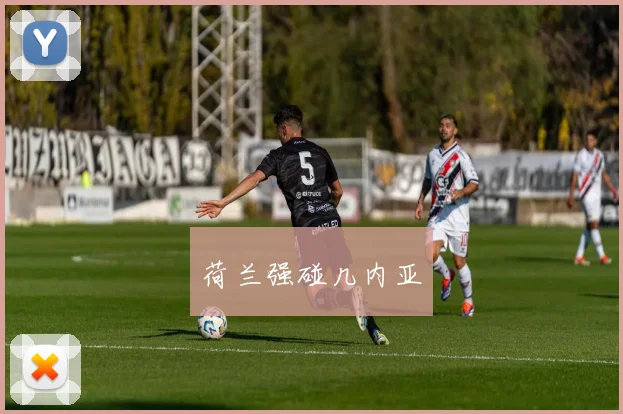 荷兰强碰几内亚