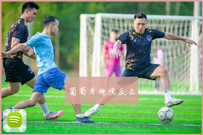 葡萄牙绝境反击