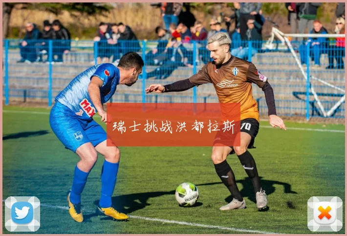 瑞士挑战洪都拉斯