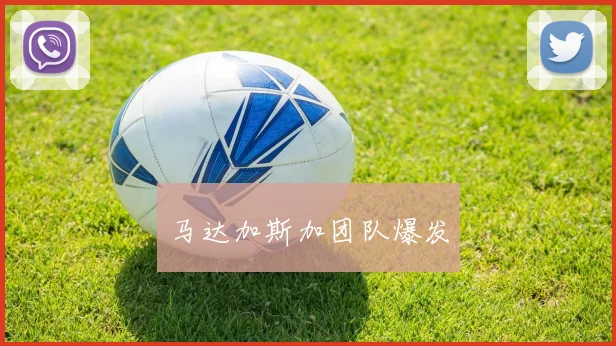马达加斯加团队爆发