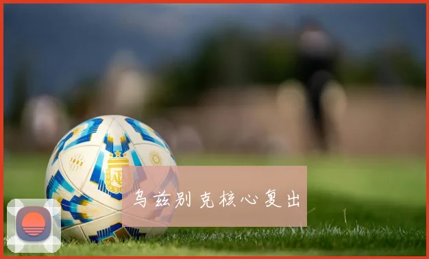 乌兹别克核心复出