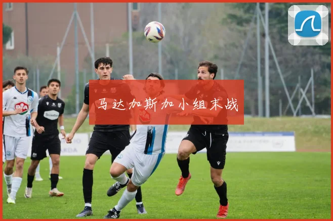 马达加斯加小组末战