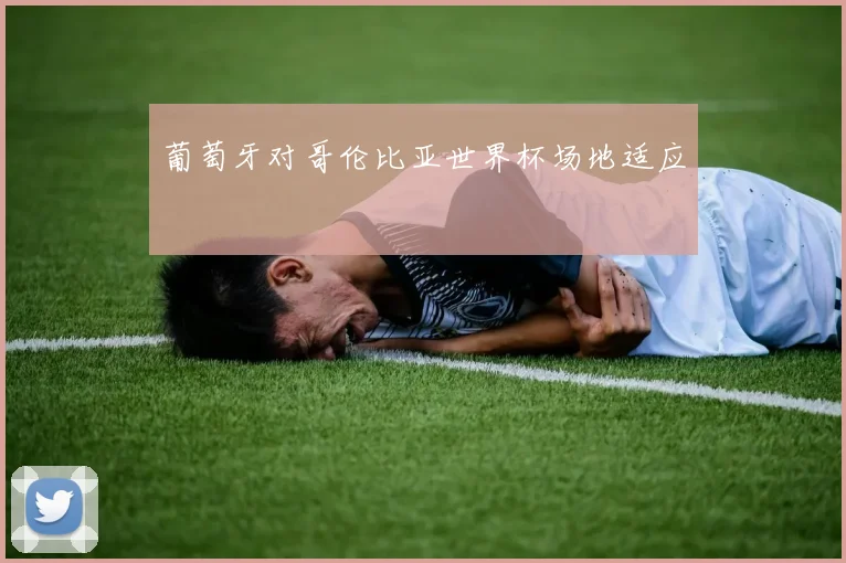 葡萄牙对哥伦比亚世界杯场地适应