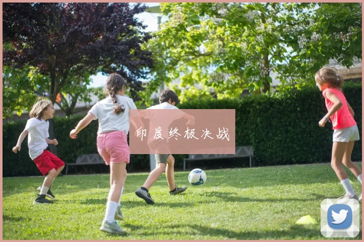 印度终极决战