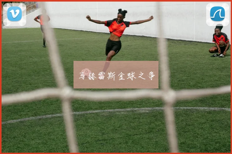 马赫雷斯金球之争