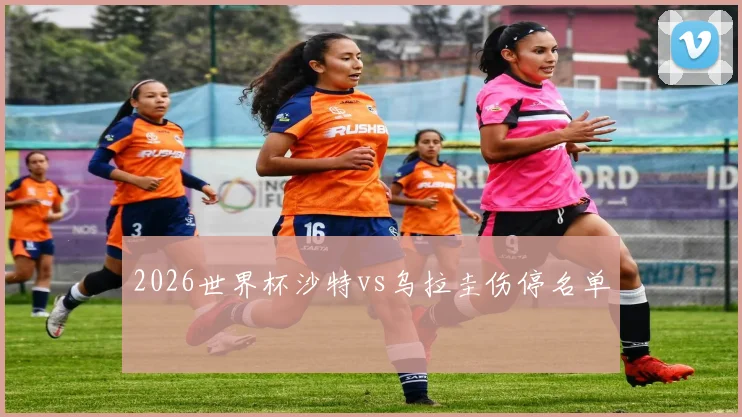 2026世界杯沙特vs乌拉圭伤停名单