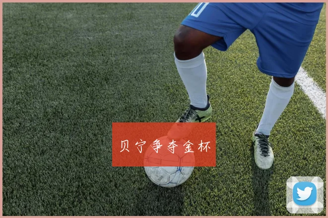 贝宁争夺金杯