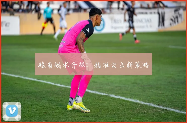 越南战术升级：精准打击新策略