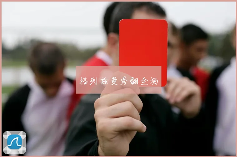 格列兹曼秀翻全场