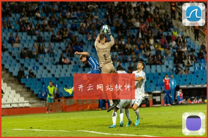 开云网站软件