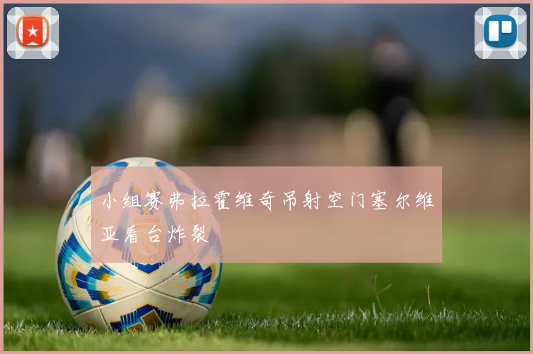 小组赛弗拉霍维奇吊射空门塞尔维亚看台炸裂