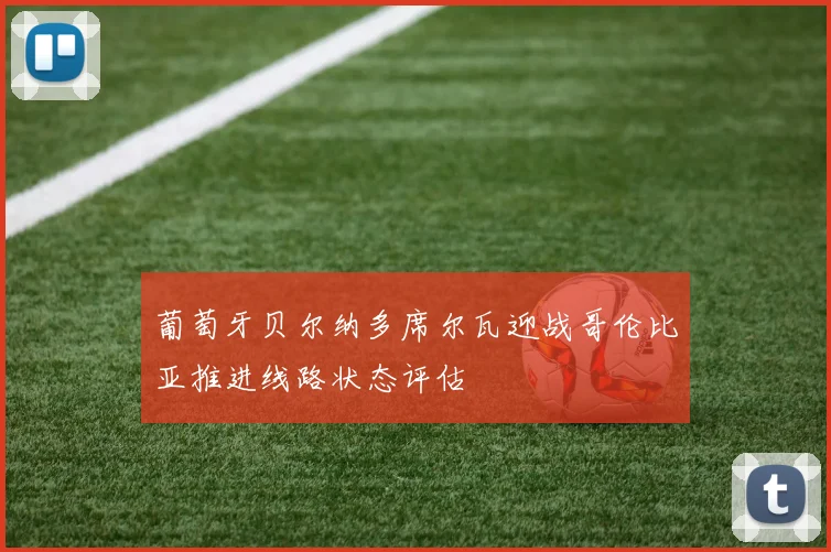葡萄牙贝尔纳多席尔瓦迎战哥伦比亚推进线路状态评估