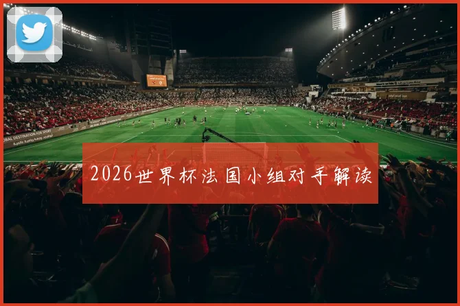 2026世界杯法国小组对手解读
