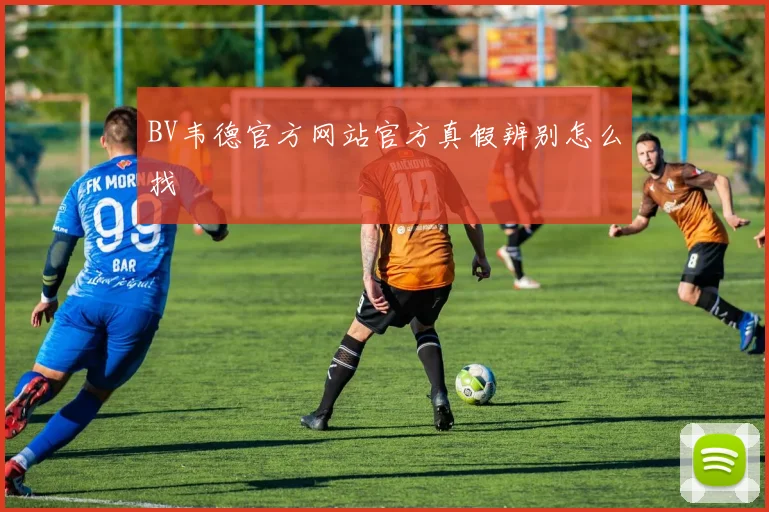 BV韦德官方网站官方真假辨别怎么找