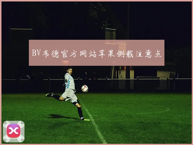 BV韦德官方网站苹果侧载注意点